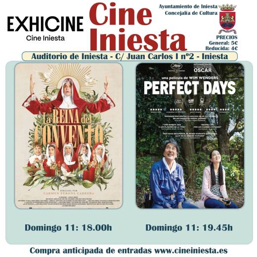 cine iniesta perfect days